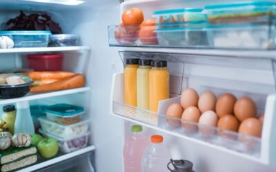 Best Freezers In Australia: Top Fridge Freezer Deals